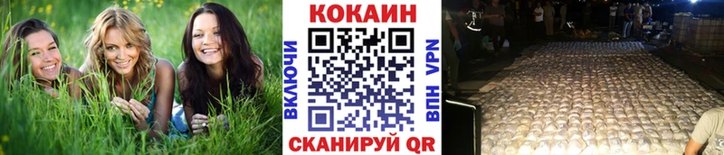 КОКАИН Fish Scale  Купить закладки  Артёмовск 
