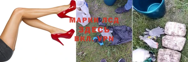 молекула духа Ладушкин