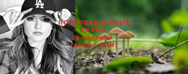 молекула духа Ладушкин