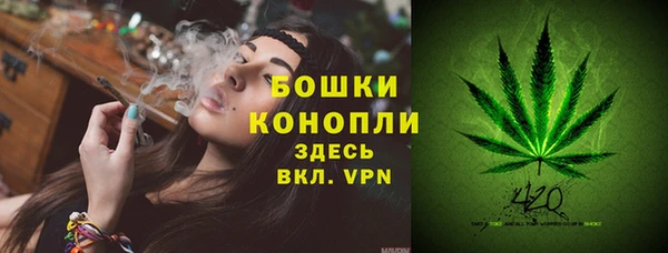 молекула духа Ладушкин