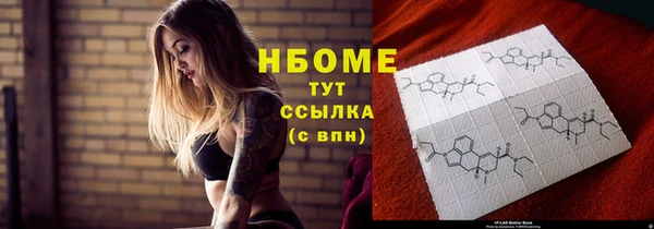 молекула духа Ладушкин