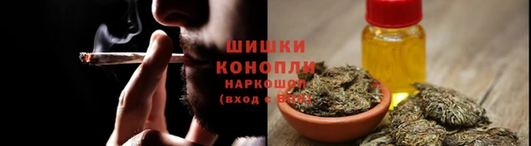 молекула духа Ладушкин