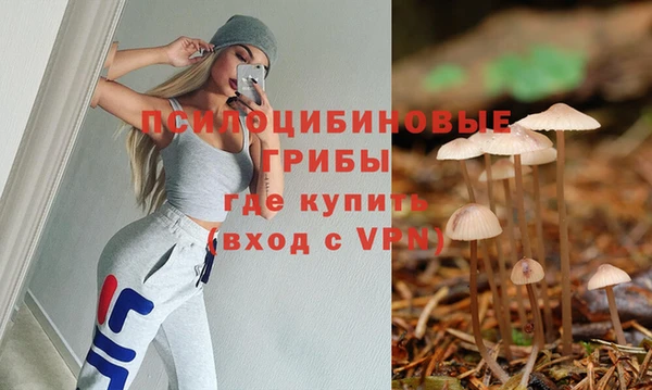 молекула духа Ладушкин