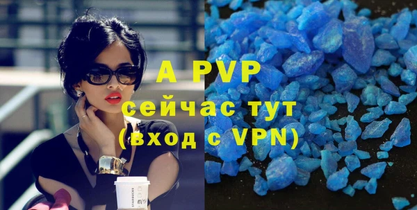 молекула духа Ладушкин