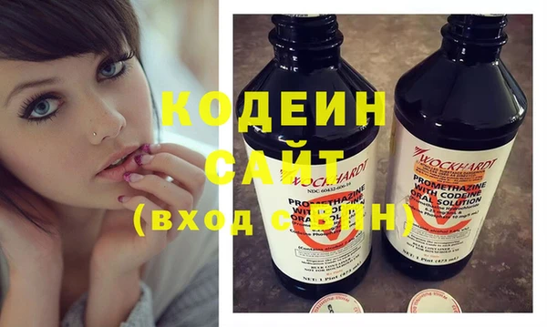 молекула духа Ладушкин