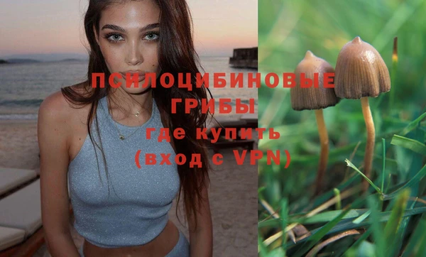 альфа пвп Лагань