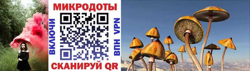 Псилоцибиновые грибы прущие грибы  Купить где  Артёмовск 